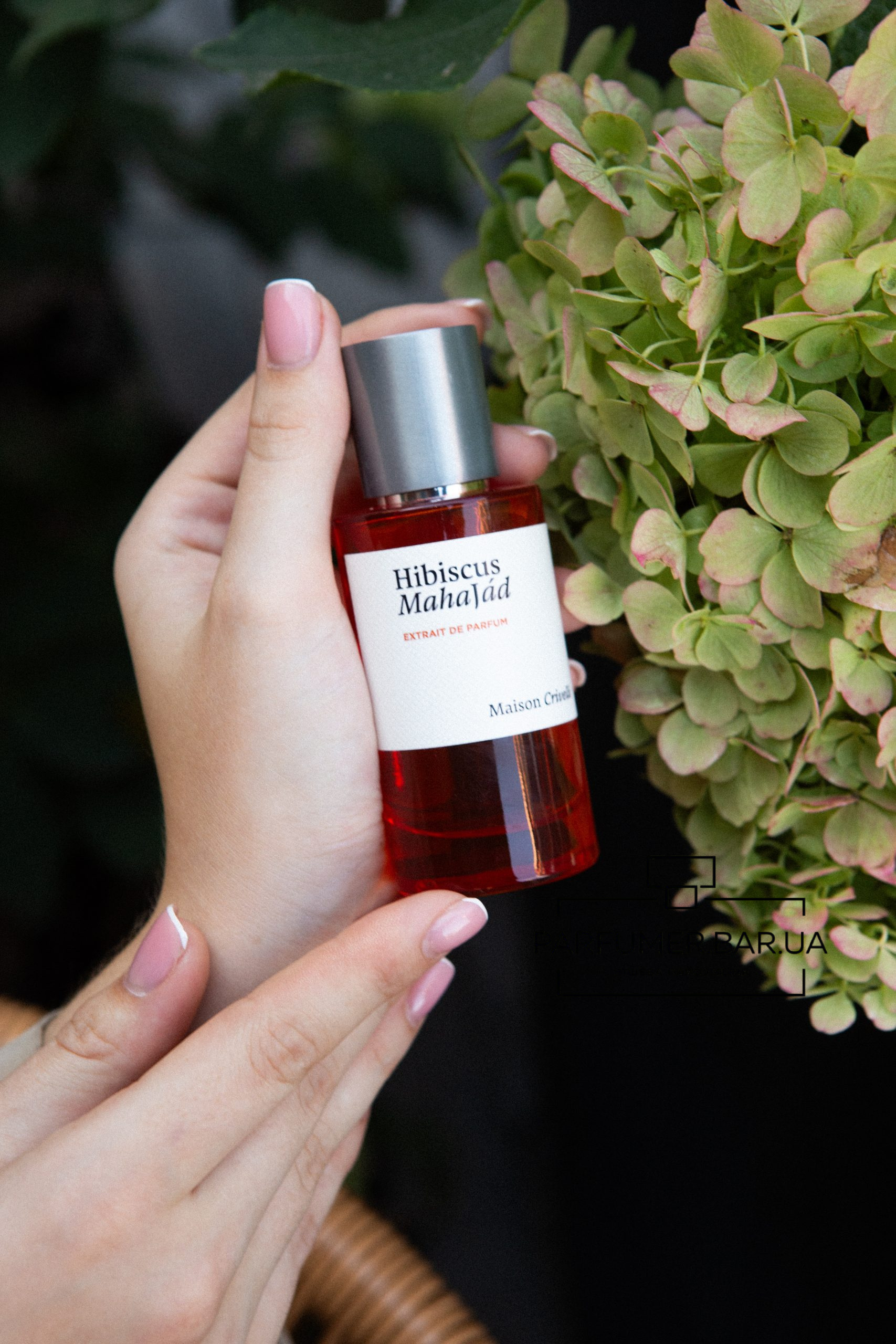 Maison Crivelli Hibiscus Mahajad